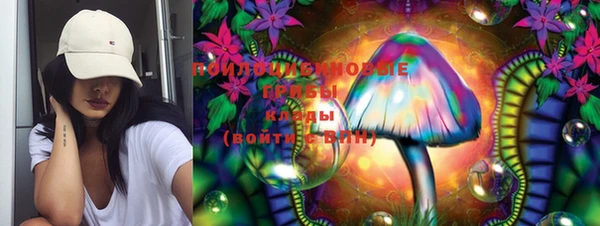 эйфоретик Богданович